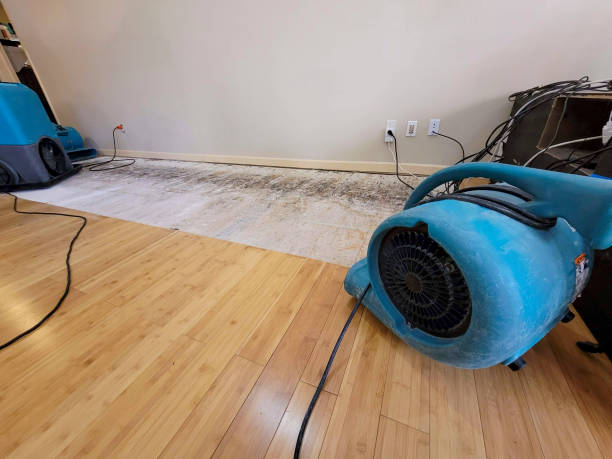 Professional Structural Drying technician working in Pickens, SC